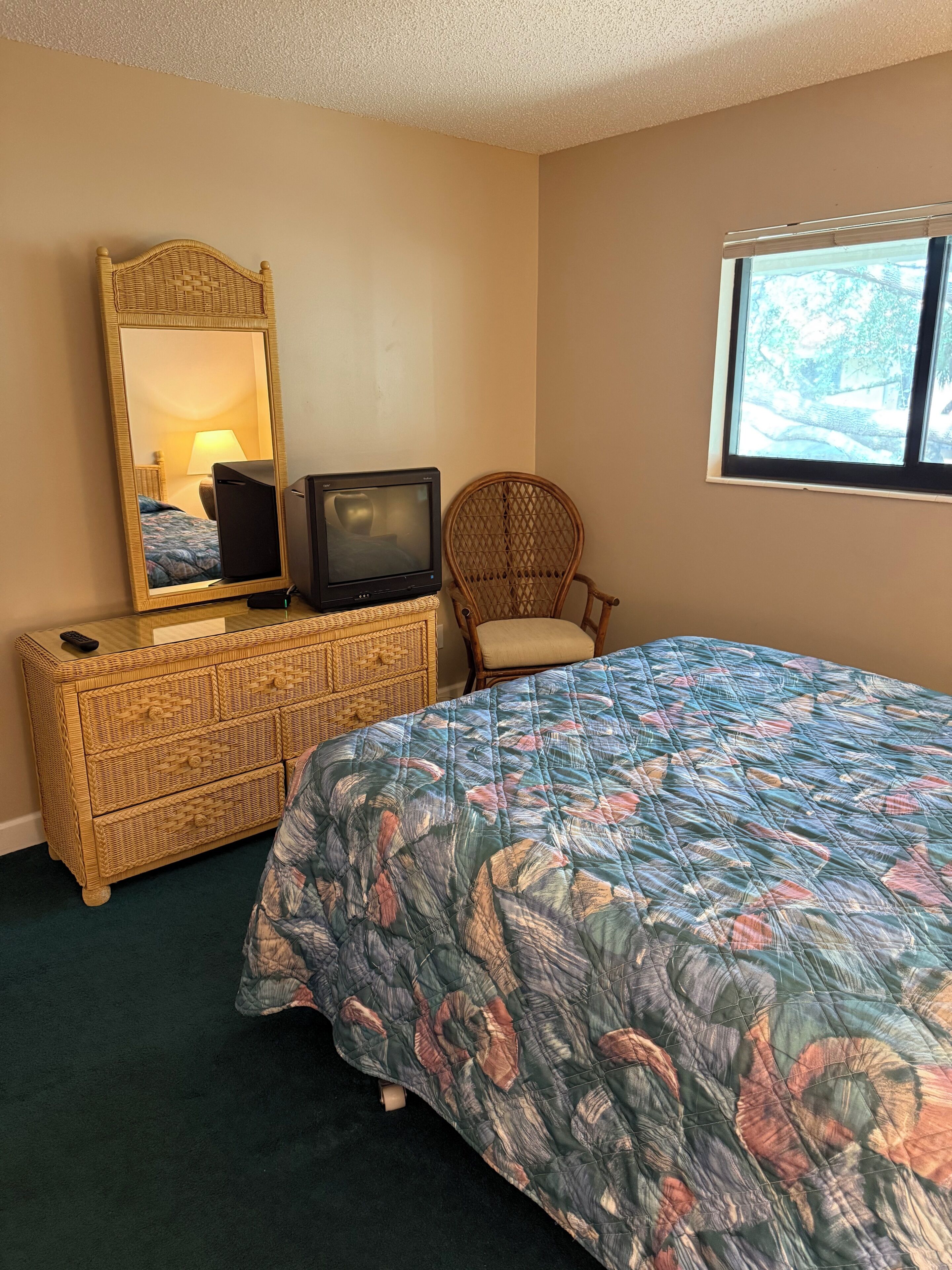 Une chambre à coucher comprenant un lit, un téléviseur, une commode en osier, une chaise et une fenêtre donnant sur des arbres.