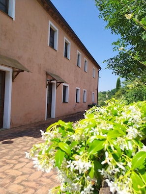 Detalle exterior