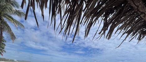 Sun-loungers, beach towels