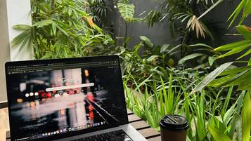 Chambre Double, vue jardin