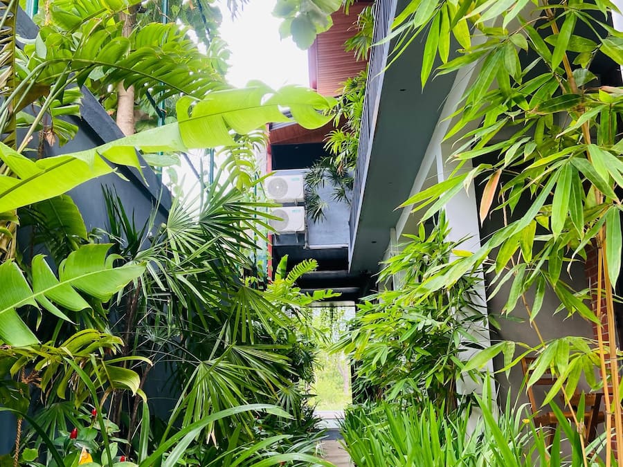 Jardim
