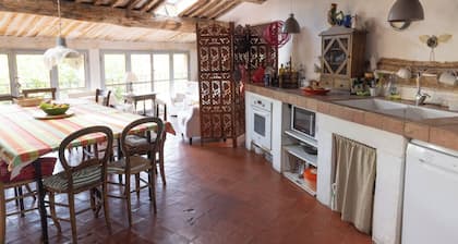 Large village house in lavender Provence. Ideal for families