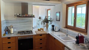 A modern kitchen with a gas stove, sink, and wooden cabinets. There is a coffee maker and a vase with flowers on the counter. - Fetget, quiet rural property with swimming pool. (IB)