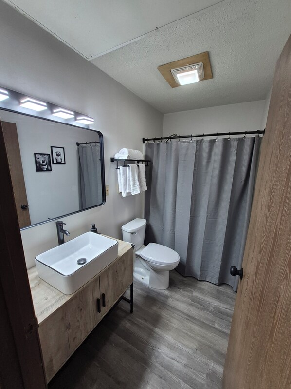 Shower, towels, soap, toilet paper