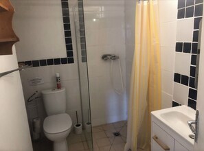 Shower, hair dryer, towels, toilet paper - Studio in the heart of nature (Saint-Sylvestre)