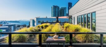 Luxury View Suite - King Bed - Huge Balcony - 10 Minute Walk To Stadiums