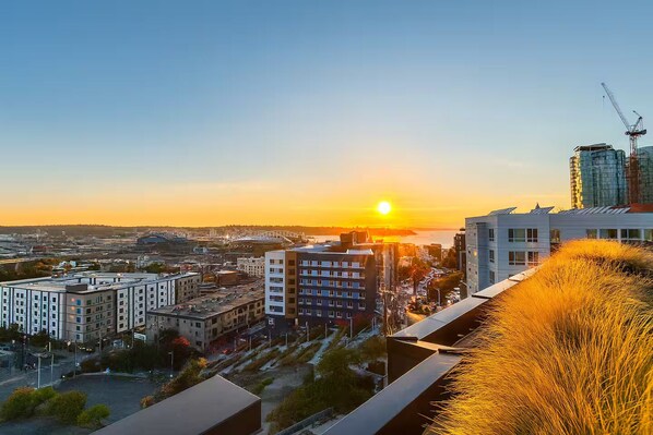 Utsikt från boendet