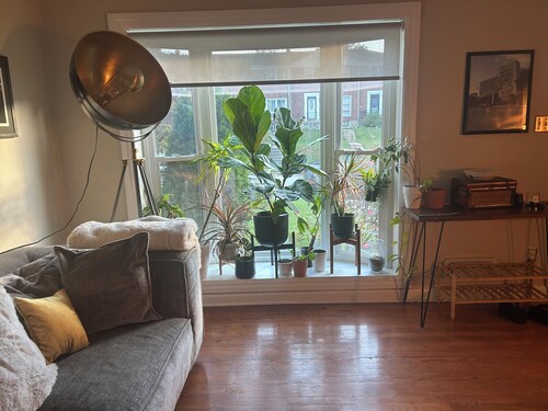 Spacious house with finished basement