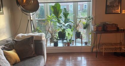 Spacious house with finished basement