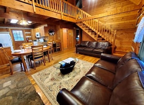 TV, fireplace, books