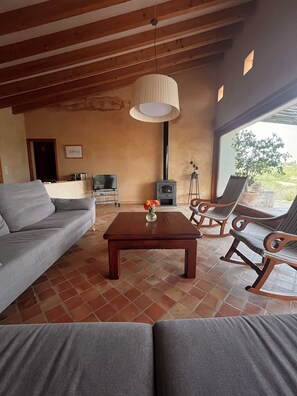 TV, fireplace, table tennis, books