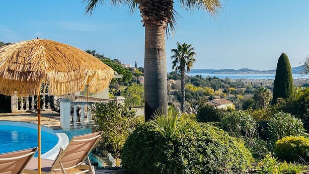 Ett poolområde med solstolar och ett parasoll med halmtak, omgivet av frodig grönska och en hög palm.