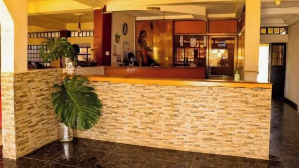 A reception area with a brick counter, a reception desk, and a large potted plant.