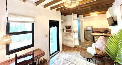 Charming 1-bedroom cottage in lovely Miami with AC, TROPICAL FOOD FOREST GARDEN