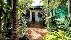 A tropical garden leading to a white building with a tiled entrance.