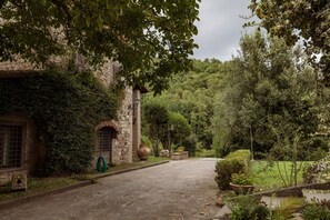 المنطقة المحيطة بالمنشأة