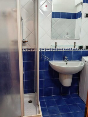 Shower, hair dryer, bidet, towels