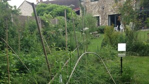 Un jardin agrémenté de bambous, une maison en pierre avec un toit de tuiles et une boîte aux lettres blanche.