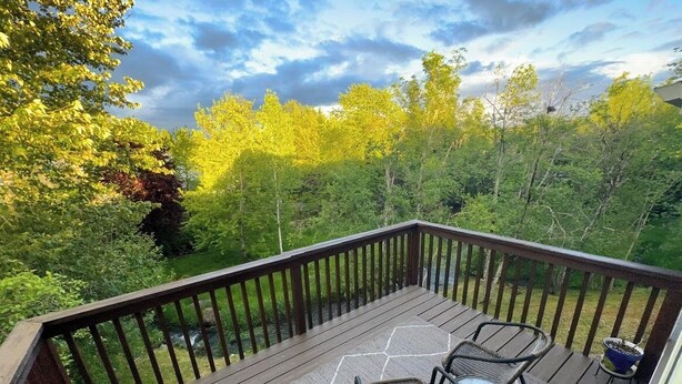 Une terrasse en bois agrémentée d’un tapis à motifs hexagonaux, de deux fauteuils en osier et d’une petite plante en pot.