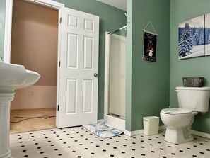 Ducha, bañera de hidromasaje, secador de pelo y jabón