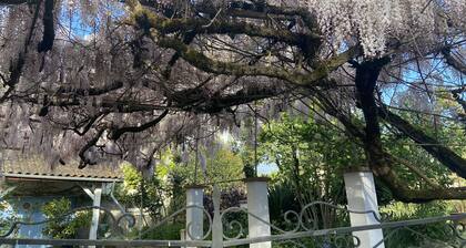 Calme et Détente dans le TARN, au croisement des Bastides....