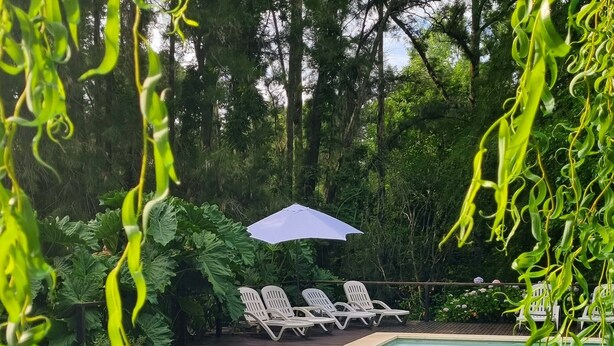 A swimming pool with a tiled deck, surrounded by lush greenery and white lounge chairs under a white umbrella. - Bosque De Bohemia Delta Tigre (Partido de Tigre)