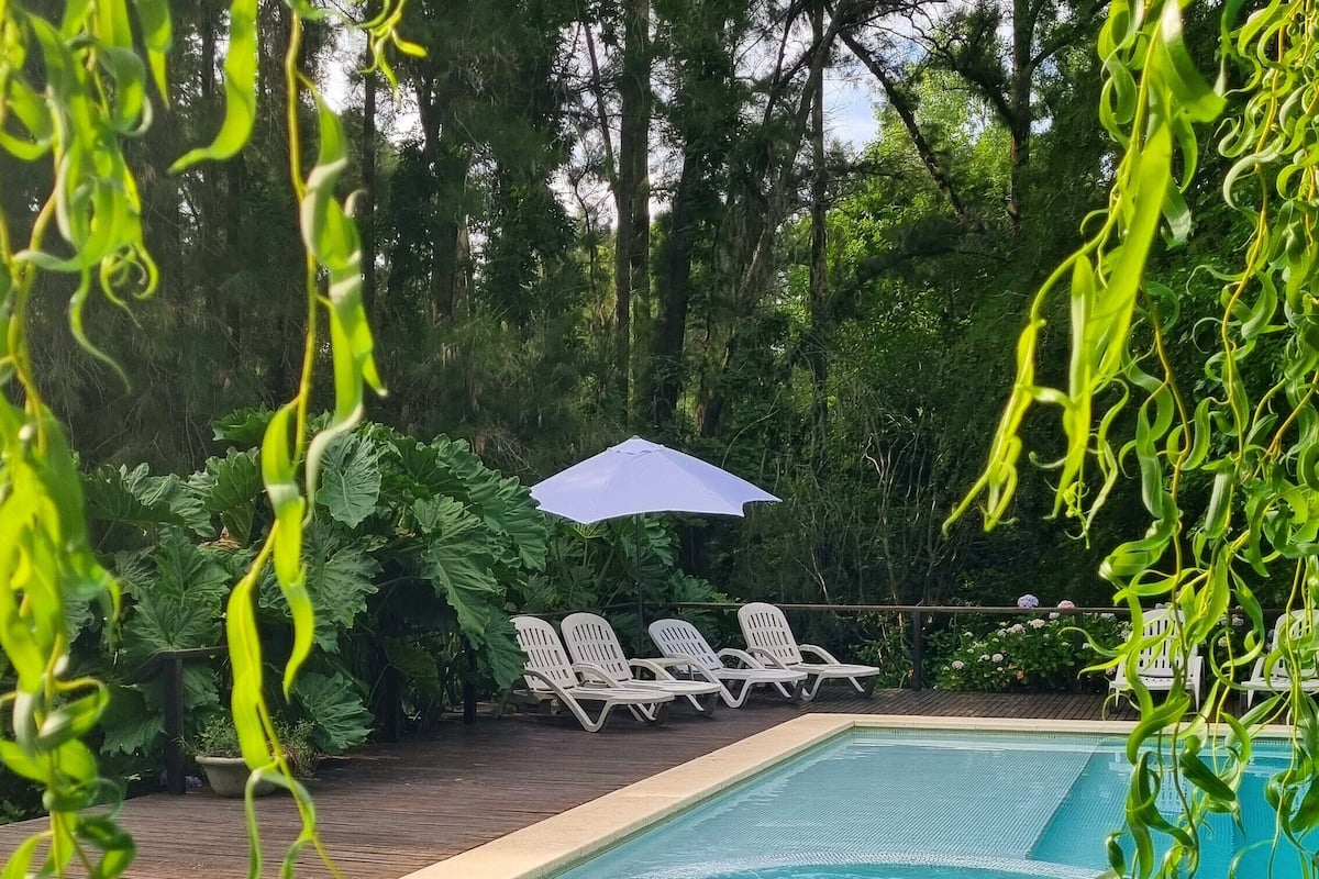 Une piscine dotée d’une terrasse carrelée, entourée d’une végétation luxuriante et de chaises longues blanches placées sous un parasol blanc.