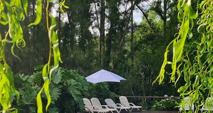 Bosque De Bohemia Delta Tigre