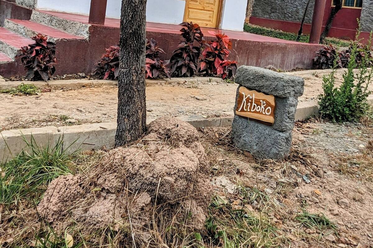 Un bâtiment doté d’une façade en pierre, d’une porte en bois et d’une enseigne sur laquelle on peut lire « Kibdoro ».