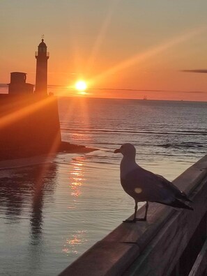 Imagen sin descripción, 5 de 17, botón