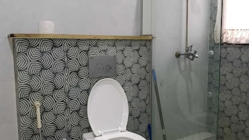 Shower, hair dryer, bidet, towels