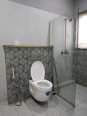 Shower, hair dryer, bidet, towels