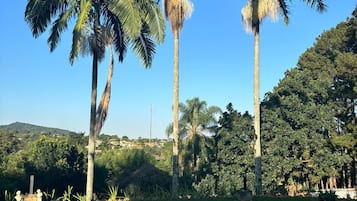 Piscina externa