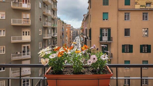 Un balcone con un vaso di fiori.