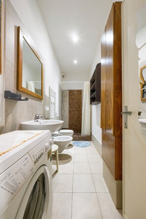 Shower, hair dryer, bidet, towels