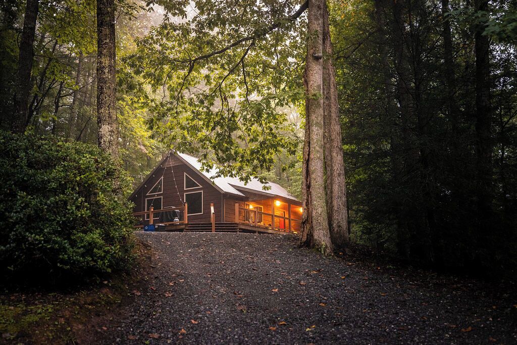 A cabin in a forest with a gravel driveway leading to the entrance.