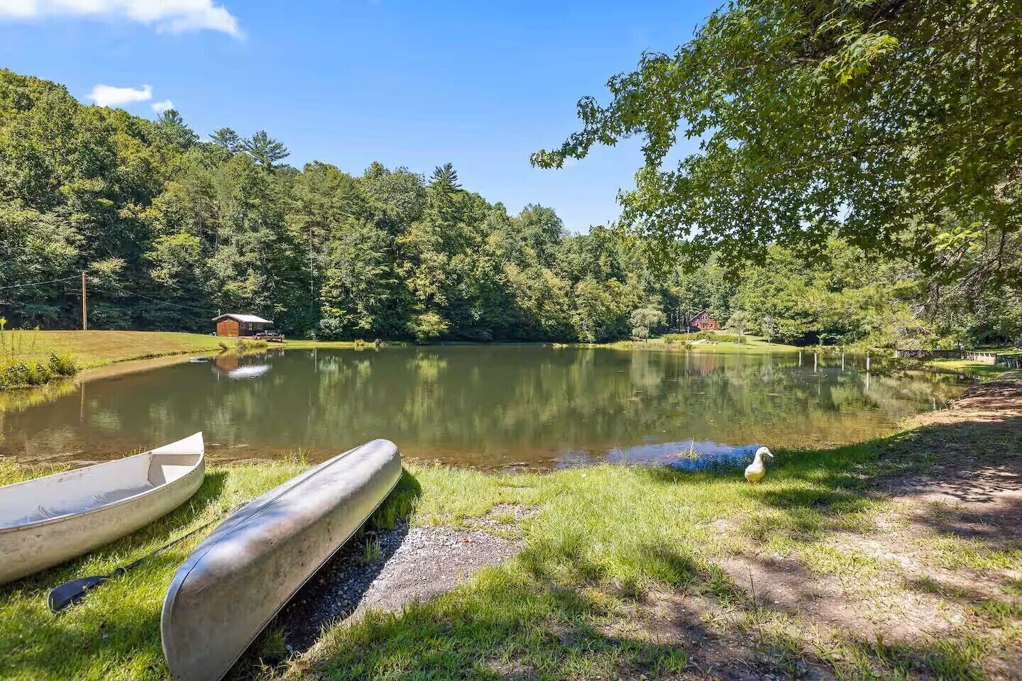 A serene lakeside setting with a canoe and a paddle resting on the grass, surrounded by lush greenery and a clear sky.