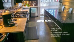 Une cuisine moderne équipée d’une cuisinière à gaz, d’appareils électroménagers en acier inoxydable et offrant une vue sur les arbres à l’extérieur.