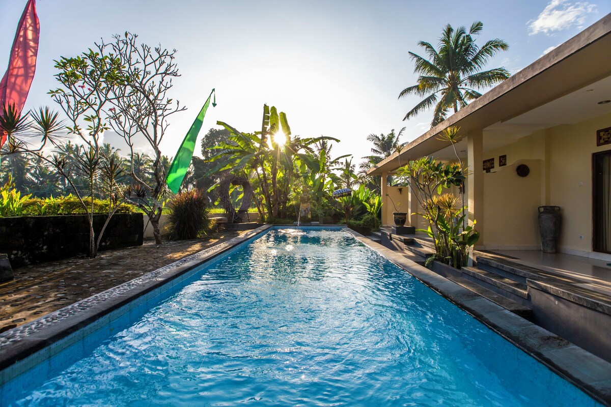 A swimming pool with a clear blue water surface, surrounded by tropical plants and palm trees, with a building on one side.