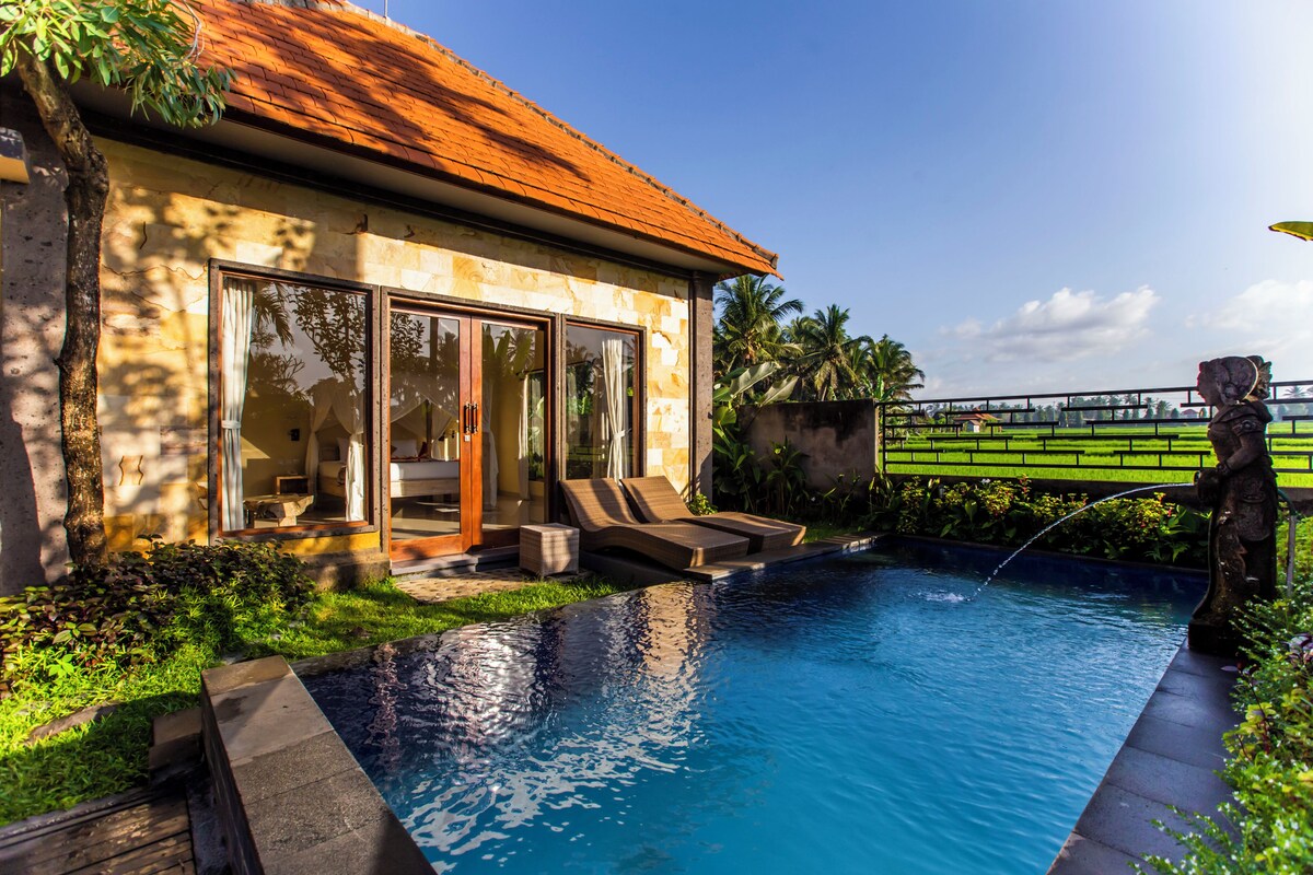 A modern house with a swimming pool, large glass doors, and a statue.