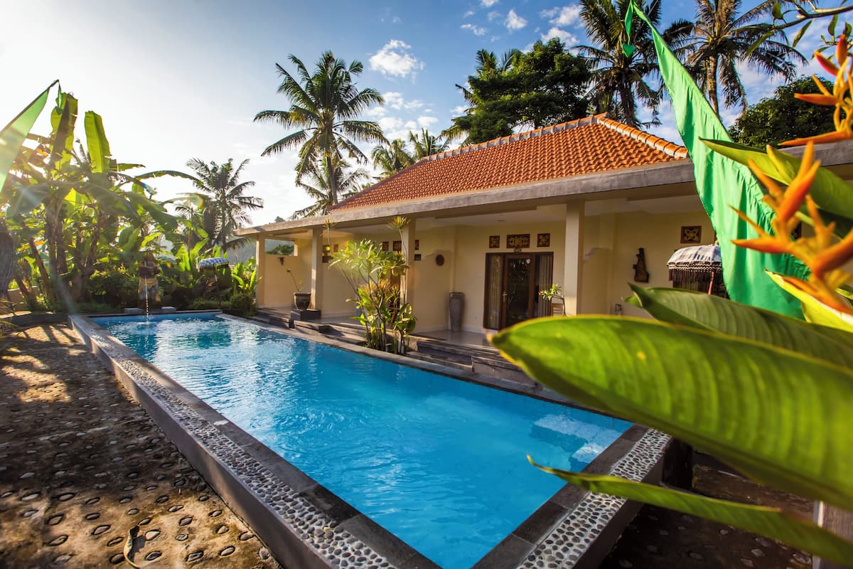 A swimming pool with a tiled deck, surrounded by tropical plants and palm trees.