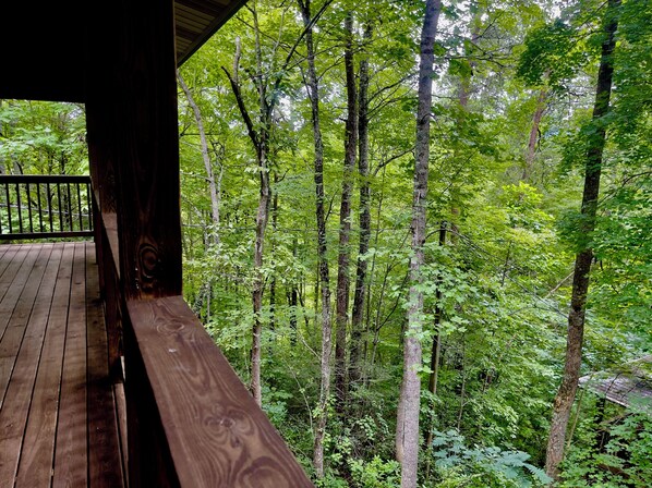 Property grounds - Hidden Love (Gatlinburg)