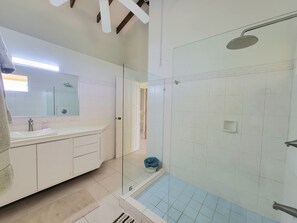 Shower, hair dryer, bidet, towels