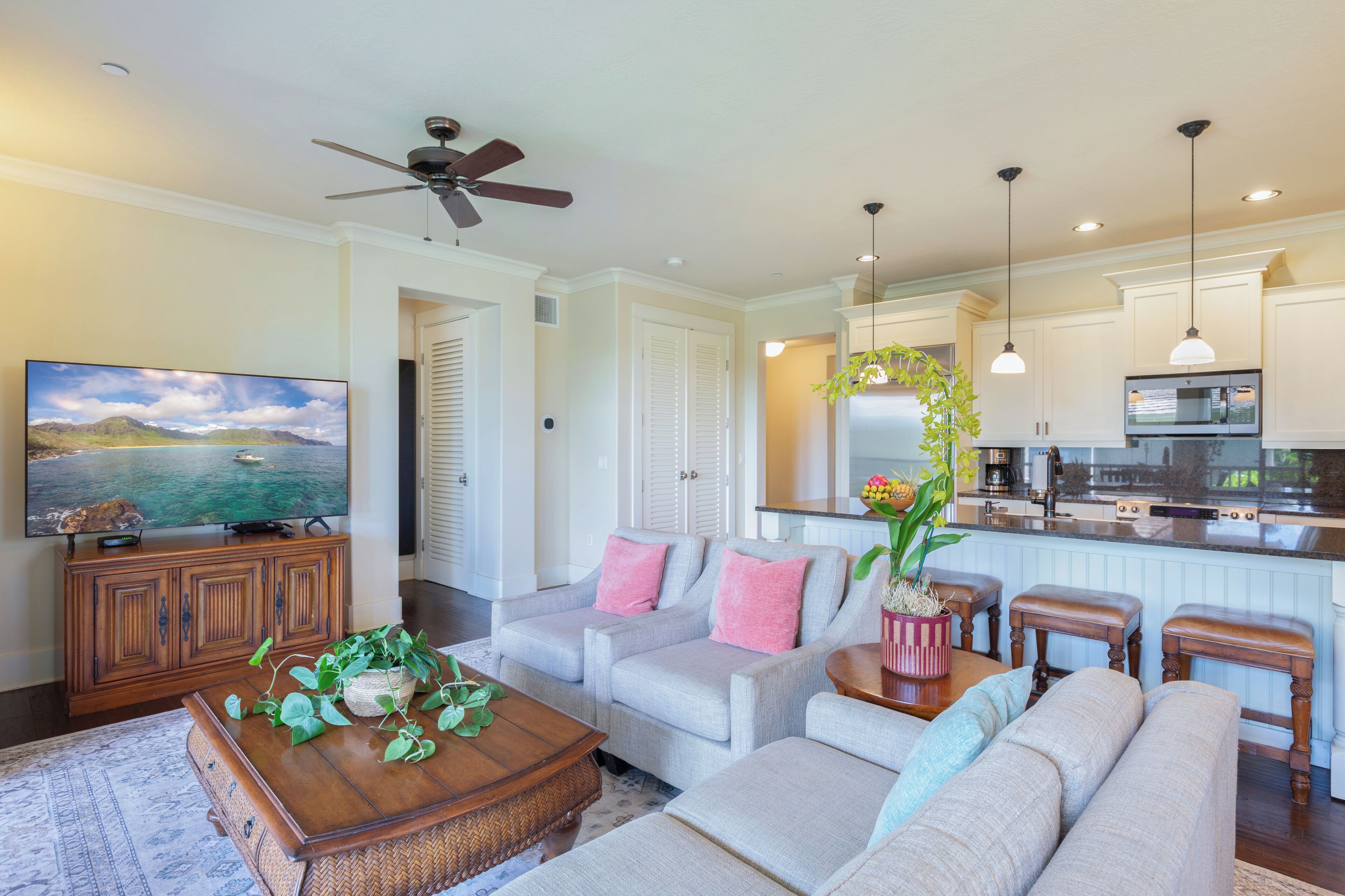 Smart TV, DVD player, books