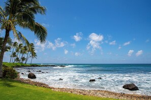 Solsenger og strandhåndklær