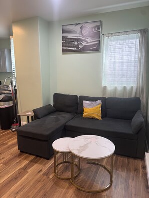 Living area - Amazing 2-bedroom apartment with AC in Philadelphia (Philadelphia)