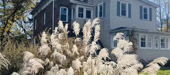 Catskill Nest