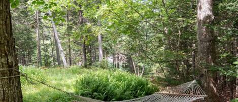 Overnatningsstedets område