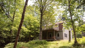 Un chalet rustique entouré d’une forêt dense.