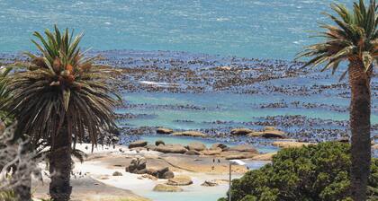 Scenic Seaforth Condo, Walk to Simon’s Town & Boulders Beach